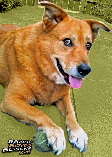 2b97e-boomerfriend49