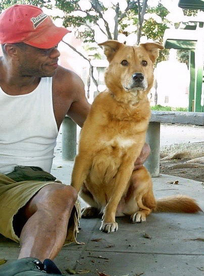 Boomer eyeing skateboarders at Other Park.